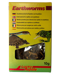 Picture of Lucky Reptile Dried Earthworms 10g