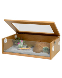 Click to Enlarge Picture of Monkfield Terranium Oak Medium 24 Inches