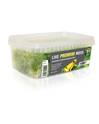 Picture of Pro Rep Live Plant Premium Sphagnum Moss 1000ml