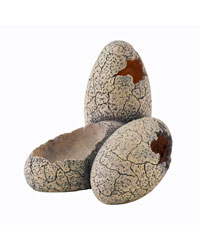 Picture of Exo Terra Dinosaur Egg Hide and Dish 
