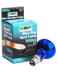 Click to Enlarge Picture of ProRep Blue Day Spot Lamp 100W Bayonet