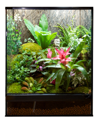 Click to Enlarge Picture of Zoo Med Naturalistic Terrarium 45 x 45 x 60cm