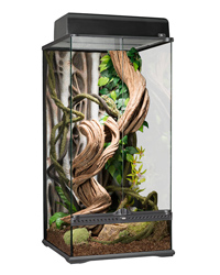 Picture of Exo Terra Glass Terrarium Small X-Tall 45x45x90cm