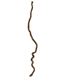 Click to Enlarge Picture of Lucky Reptile Asian Liana Small