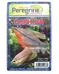 Picture of Daphnia 100g