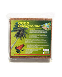 Picture of Lucky Reptile Coco Background 30cm