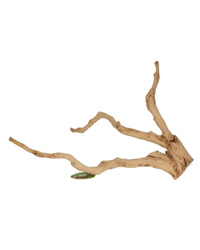 Picture of ProRep Tea Tree Branch Large