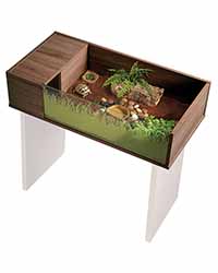 Picture of Vivexotic Viva Tortoise Table Walnut