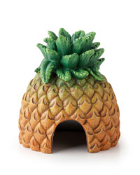 Picture of Exo Terra Tiki Pineapple Hide 