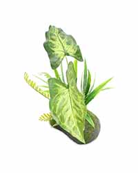 Picture of Pro Rep Artificial Philodendron Gigas Plant 35cm