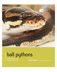 Picture of Pet Expert Ball Pythons 