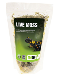 Click to Enlarge Picture of ProRep Live Moss Small Bag 1.5 Litres
