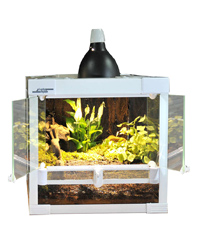 Click to Enlarge Picture of Lucky Reptile Herp Tarrium White 30 x 30 x 30 cm