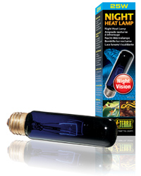 Click to Enlarge Picture of Exo Terra Night Heat Lamp T10 25W