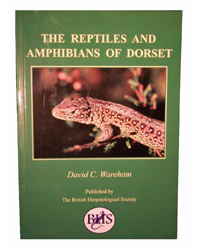 Picture of The Reptiles and Amphibians of Dorset 