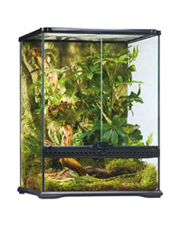 Picture of Exo Terra Glass Terrarium Small Tall 45x45x60cm