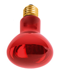 Picture of Komodo Infrared Spot Bulb 50W ES