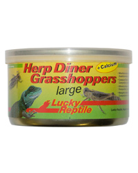 Click to Enlarge Picture of Lucky Reptile Herp Diner Grasshoppers Large