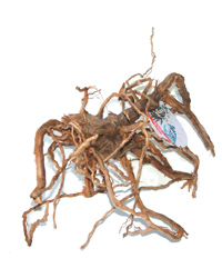 Click to Enlarge Picture of Lucky Reptile Sand Blasted Vine Root Medium
