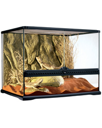 Picture of Exo Terra Glass Terrarium Medium Wide 60x45x45cm