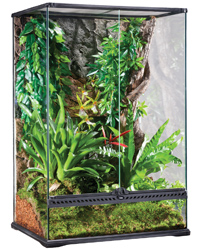 Picture of Exo Terra Glass Terrarium Medium X-Tall 60x45x90cm