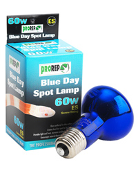 Picture of ProRep Blue Day Spot Lamp  60W Edison Screw