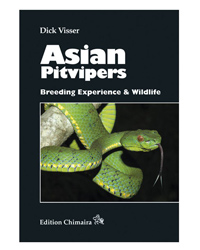 Picture of Chimaira Asian Pit Vipers 