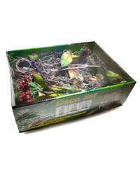 Picture of Lucky Reptile Life Experience Deco Set Mantis 