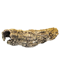 Picture of ProRep Cork Bark Small Tube Short