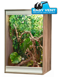 Picture of Vivexotic Viva plus Arboreal Small Walnut