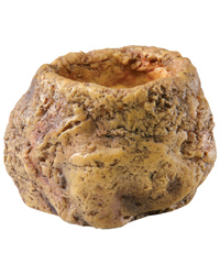 Click to Enlarge Picture of Exo Terra Snake Bowl