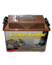 Click to Enlarge Picture of Lucky Reptile Kricket Keeper Large