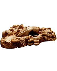 Picture of Habistat Repti-Rock Ammonites and Skull Fossil Corner Cave 