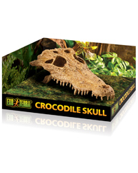 Picture of Exo Terra Crocodile Skull 