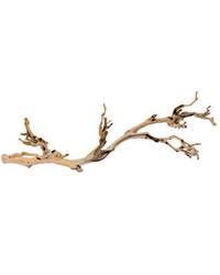 Picture of Exo Terra Forest Branch Large
