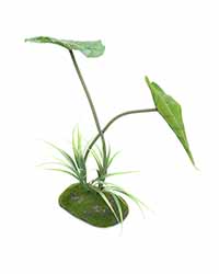 Picture of Pro Rep Artificial Philodendron Appendi 40cm