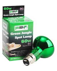 Click to Enlarge Picture of ProRep Green Jungle Spot Lamp 60W Bayonet