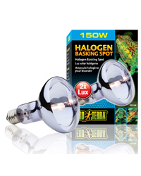 Click to Enlarge Picture of Exo Terra Halogen Basking Spot 150W