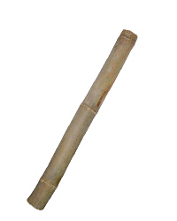 Click to Enlarge Picture of Lucky Reptile Bamboo Stick 10 cm x 1 Metre