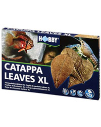 Picture of Hobby Catappa Leaves XL Pack of 12