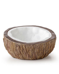 Picture of Exo Terra Tiki Coconut Water Dish 