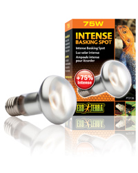 Click to Enlarge Picture of Exo Terra Intense Basking Spot 75W