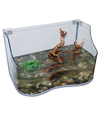 Click to Enlarge Picture of Lucky Reptile Turtle-Tarrium Maxi 120 x 68 x 36-65cm