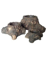 Click to Enlarge Picture of Lucky Reptile Tree Planter Small