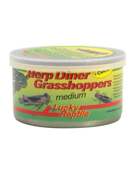 Picture of Lucky Reptile Herp Diner Grasshoppers Medium