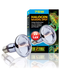 Click to Enlarge Picture of Exo Terra Halogen Basking Spot 75W