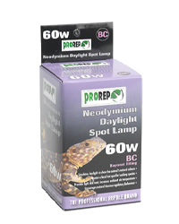 Picture of ProRep Neodymium Daylight Spot Lamp 60W Bayonet