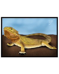 Picture of Creative Chameleon Greetings Card Bearded Dragon