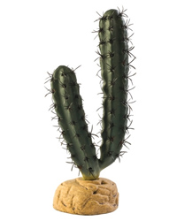 Picture of Exo Terra Finger Cactus 