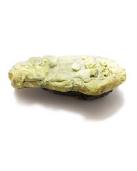 Click to Enlarge Picture of Pro Rep Jungle Rock Pool Medium